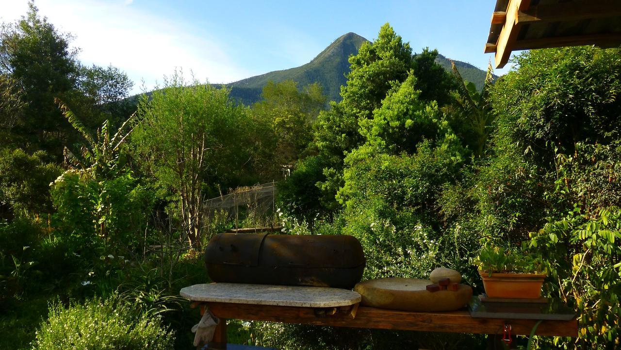 Chalet Boutique Vintage Forest Stormsrivier