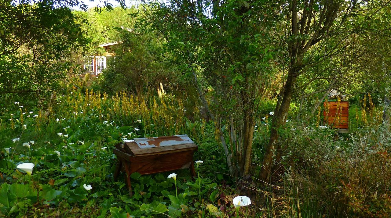 Boutique Vintage Forest Chalet Stormsrivier