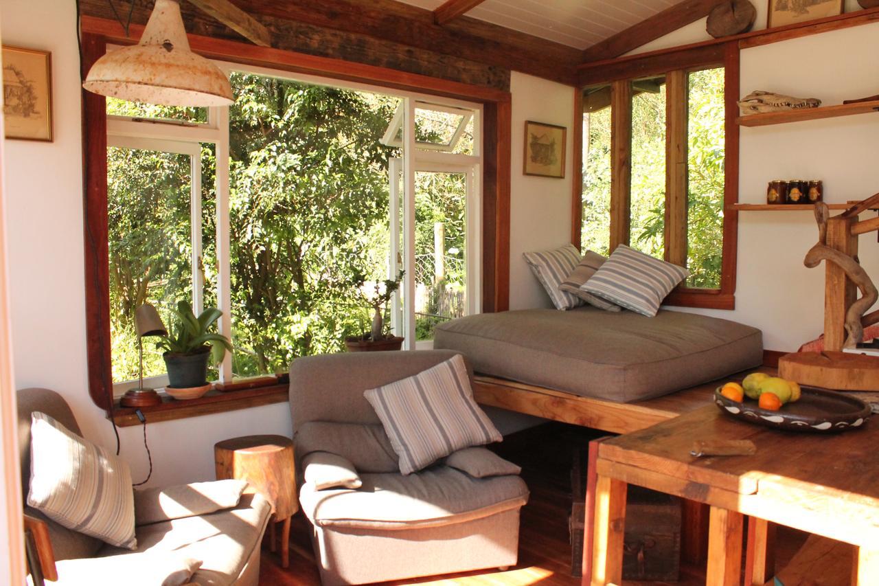 Boutique Vintage Forest