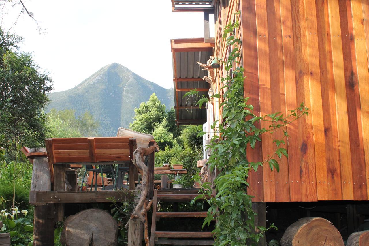 Chalet Boutique Vintage Forest *