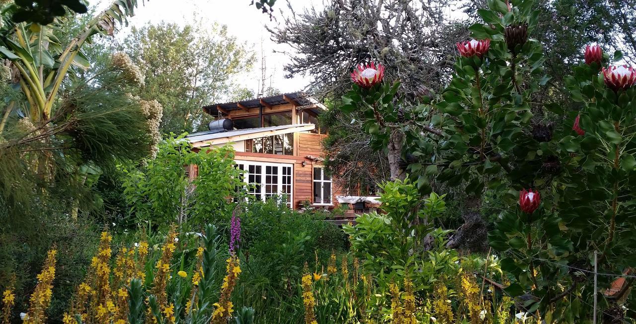 Boutique Vintage Forest * Stormsrivier