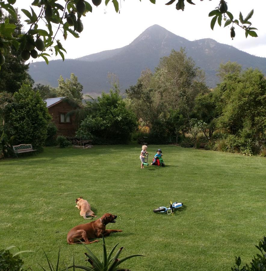 Boutique Vintage Forest Chalet Stormsrivier